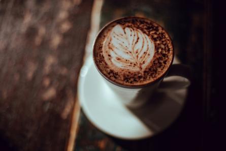 café y cacao