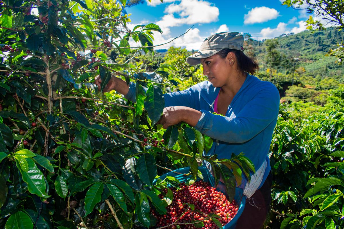 Café mujer